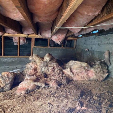 Fallen Insulation