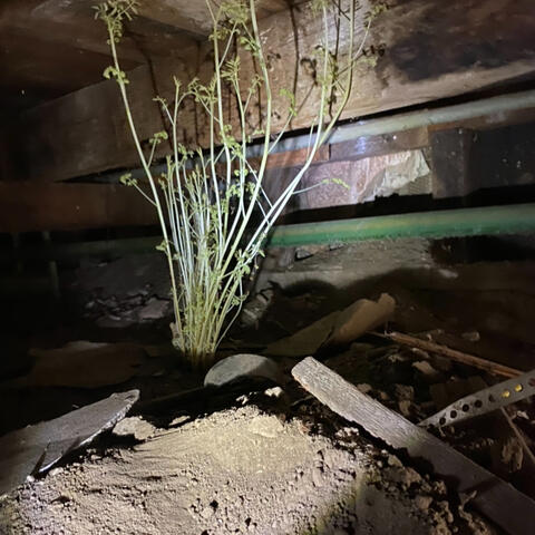 Unexpected Conditions